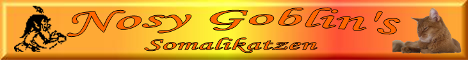 Nosy Goblin's Somalikatzen